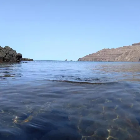 Flor Caleta de Sebo